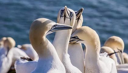 华体会综合平台入口：开启你的全景体育新体验