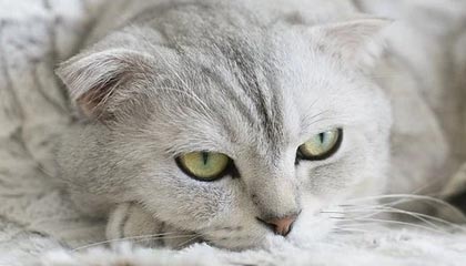 乐鱼体育官方登录网站-海港密练点球做好万全准备 战浙江或重拾防反心得